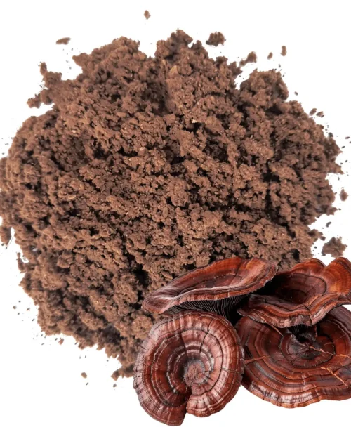 Reishi Ganoderma Puro Polvo x 100 grs.