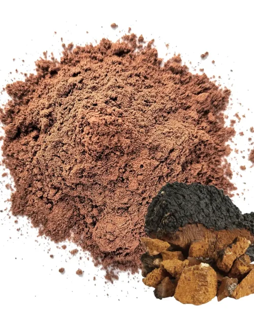 Chaga Orgánico Polvo Puro x 100 grs.