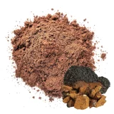 chaga-organico-polvo-puro-plaza-vegana-1400px