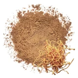 cordyceps-organico-polvo-puro-plaza-vegana-1400px