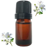 aceite-esencial-cistus-plaza-vegana-1400px