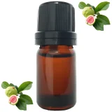 aceite-esencial-hoja-guayaba-plaza-vegana-1400px