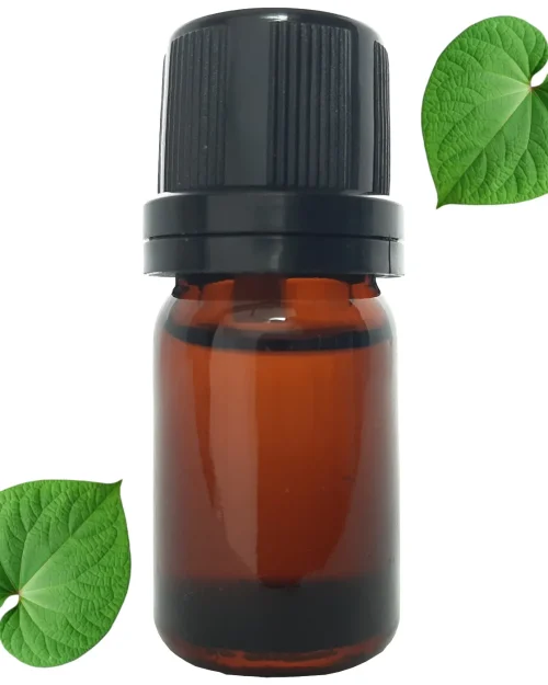 Aceite Esencial Hoja Santa