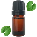 aceite-esencial-hoja-santa-plaza-vegana-1400px.