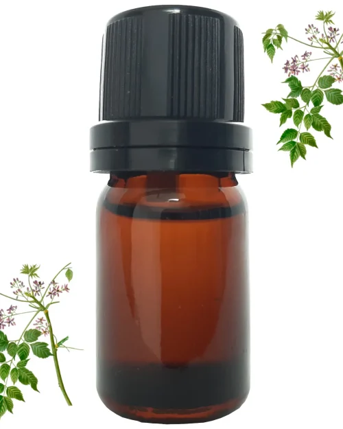 Aceite Esencial Pronto Alivio