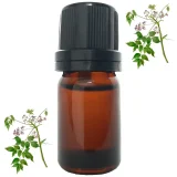 aceite-esencial-pronto-alivio-plaza-vegana-1400px