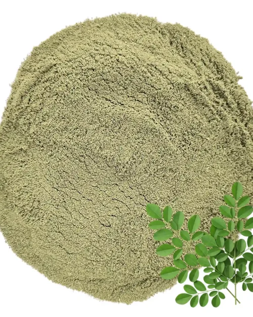Moringa Polvo Natural x 100 grs.